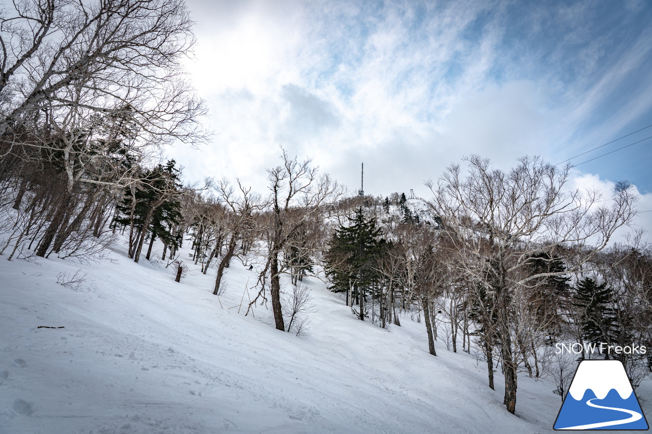 サッポロテイネ｜山頂積雪 285cm！絶好の春コンディションのゲレンデは、『アルペンスキー大会』『モーグル大会』『テイネ雪山祭り』『北海道米そり選手権2026』で大盛り上がり～(^^)v